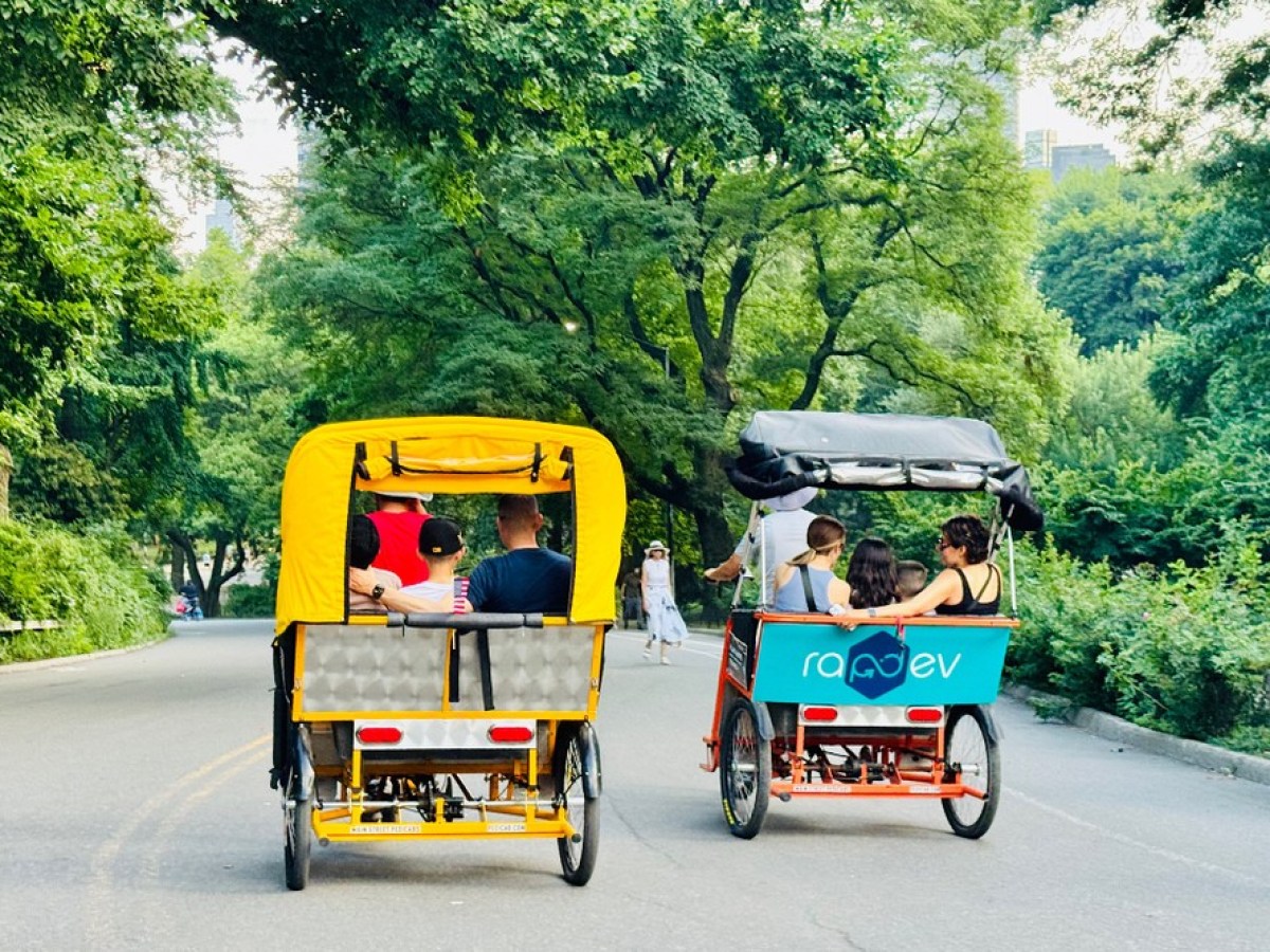 a person riding a horse drawn carriage driving down a street