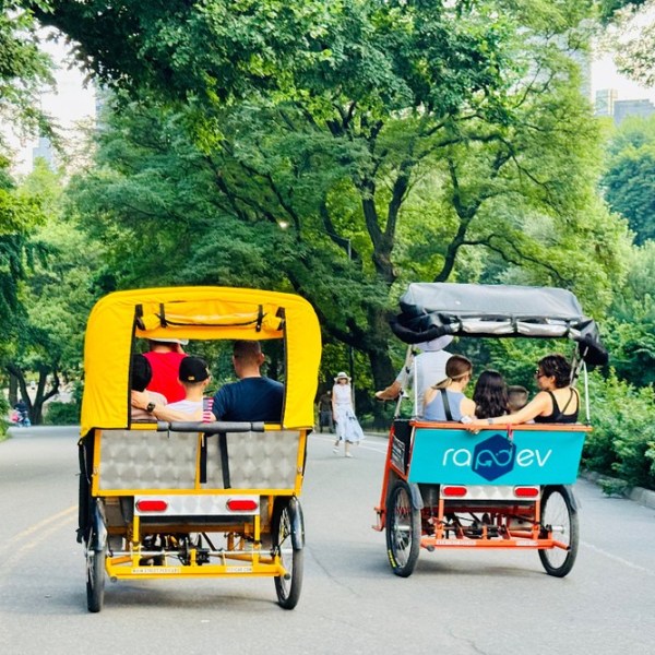 a person riding a horse drawn carriage driving down a street
