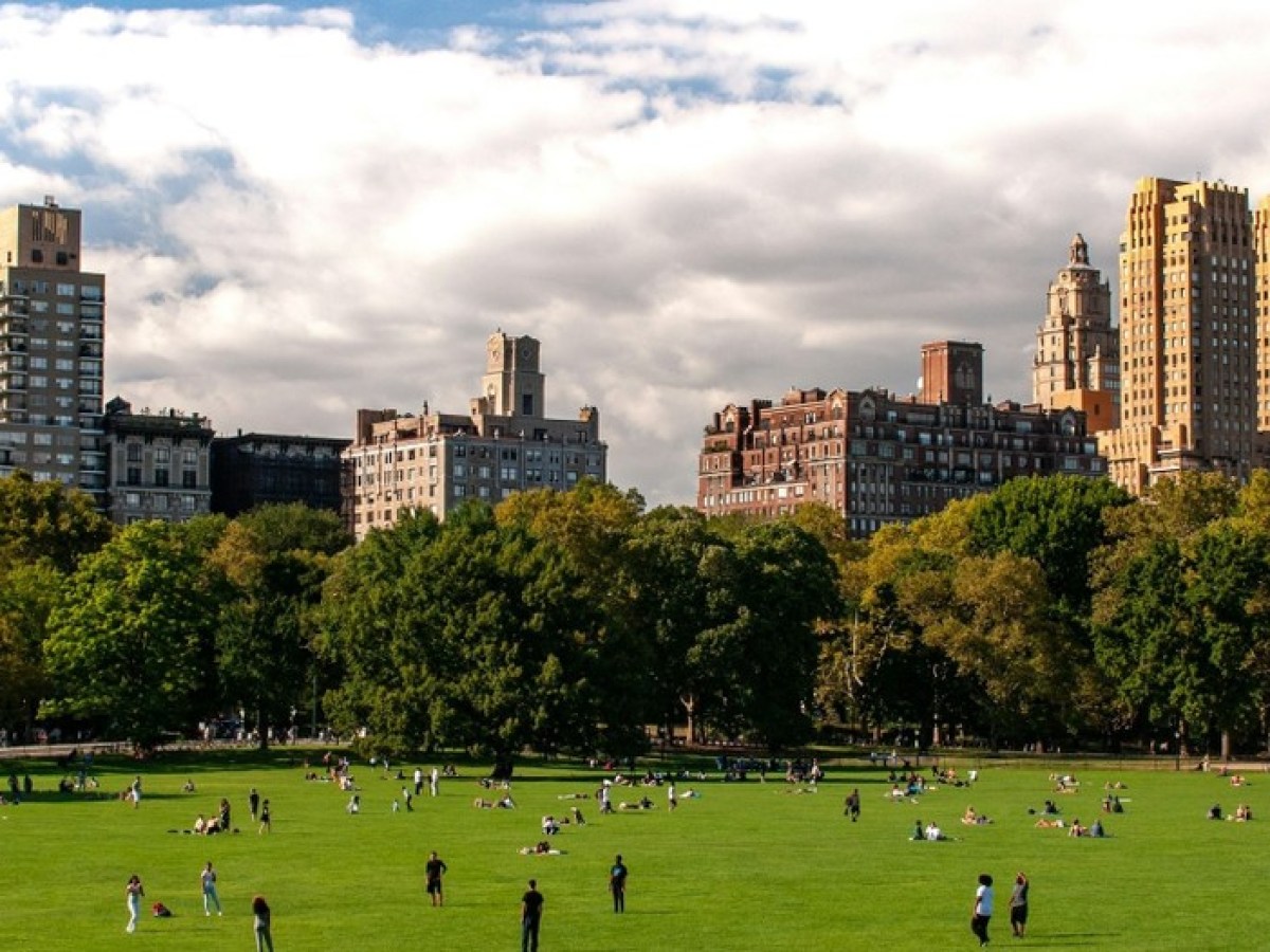 a group of people in a field with a city in the background