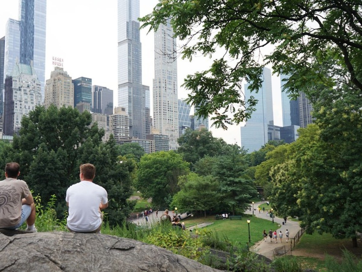 a group of people in a park